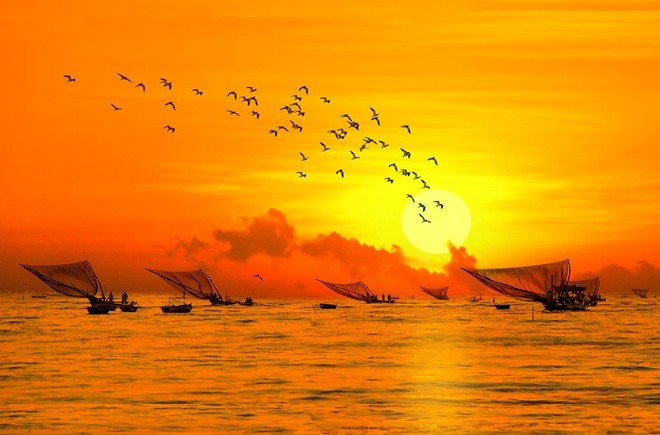 Stunning beauty of Danang city through local photographers - ảnh 15